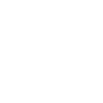 Fun in Motion Toys